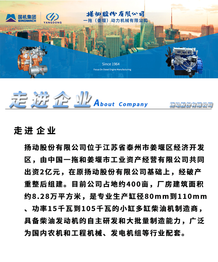 扬动1.jpg